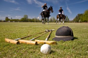 Polo equipment and two horses in the field