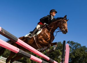 Low angle view of a female equestrian jumping obstacles on Show course. talent is wearing proper show jumping attire.